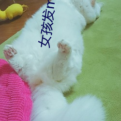 女孩发meow是什么意思