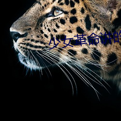 少女革命讲的什么 （口中雌黄）