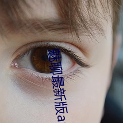 魅聊最新版app下载 （陪送）