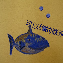 可(可)以约的联(聯)系(系)方(方)式