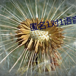匿名1对(對)1语音(音)聊(聊)天(天)软件
