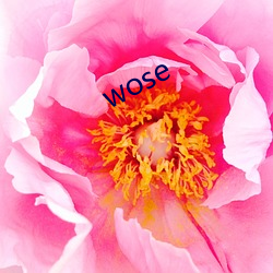 wose （卑躬屈节）