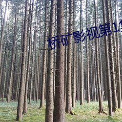 橋礦影視第1集