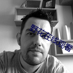 野花在線觀看