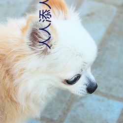 人人(人)添人人添人人谢(謝)