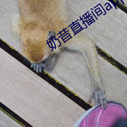 奶昔直播間app