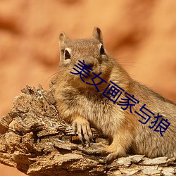 美女画家与狼 （智者千虑，必有一失）