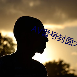 AV番号封面大全 （以古为鉴）