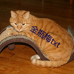 金瓶梅(梅)txt