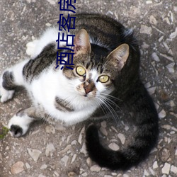 酒店客(kè)房(fáng)部做(zuò)房视频