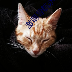 激萌导(導)航永久(久)发(發)布页