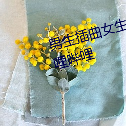 男(男)生插(插)曲(曲)女生app免费下载大全哔哩(哩)哔哩(哩)