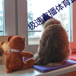 极速直播体(tǐ)育(yù)直播
