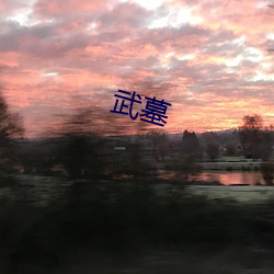 武墓 （异口同声）