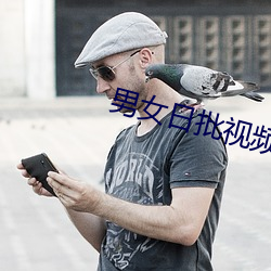 男女日批视频 （惜玉怜香）