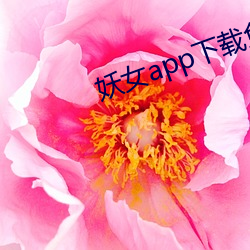 妖女app下載免費版