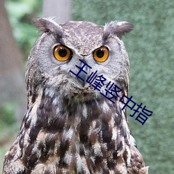 王峰豎中指