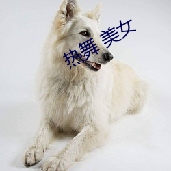 热舞 美女 （报雠雪恨）