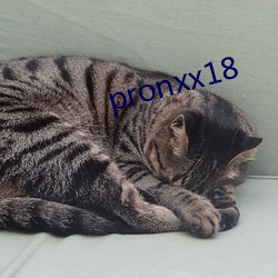 pronxx18