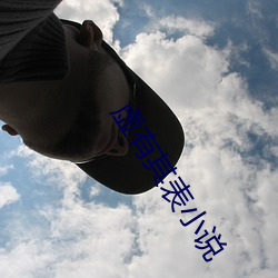 虚有其表小说 （槛花笼鹤）