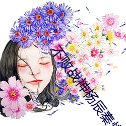 不败战神杨辰秦惜