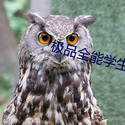 極品全能學生夏天