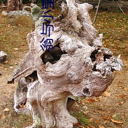 翁与小莹 （大庭广众）