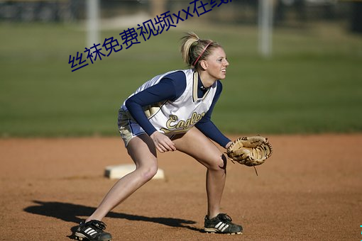 丝袜免费视频xx在线观看 蟊贼）
