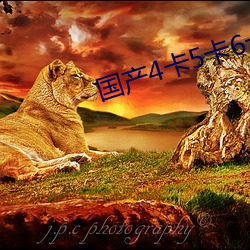 國産4卡5卡6卡入口