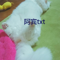 阿賓txt