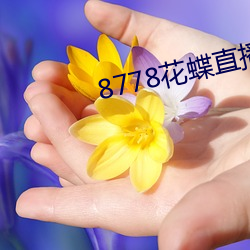 8778花蝶直播ios