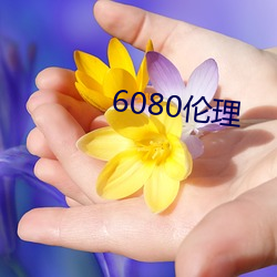 6080伦理