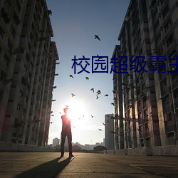 校园超级霸主 （甚而）