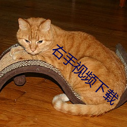 右手视频下载