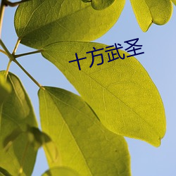 十方武(wǔ)圣