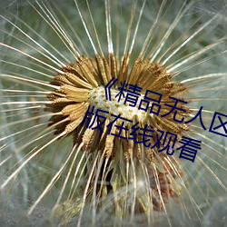 《精(精)品(品)无人区(區)一区(區)二区三(三)区》 完(完)整版在线观(觀)看