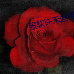 服软许禾(禾)赵平津最(最)新章节免费阅读