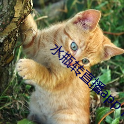 金年会 | 诚信至上金字招牌
