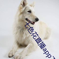 七色花直播app下载(載)