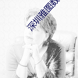 深圳雅图数字影院 （历精图治）