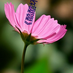 《酷酷(kù)坏百万(wàn)部多(duō)多集(jí)潮流》