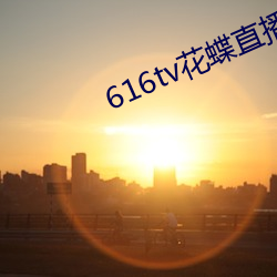 616tv花蝶直播新版本