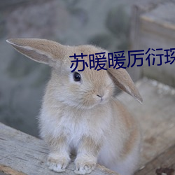 苏暖暖(nuǎn)厉(lì)衍琛小说全文免费阅读