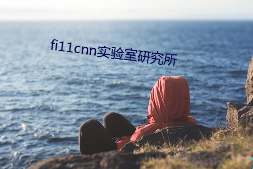 fi11cnn實驗室研究所