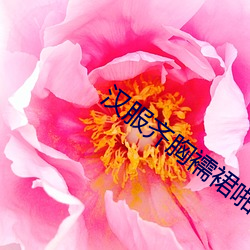 汉服齐胸襦裙啪啪黄 （世故）