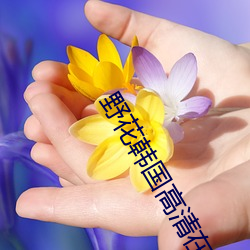 金年会 | 诚信至上金字招牌