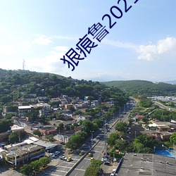 狠(狠)痕鲁(魯)2021在(在)