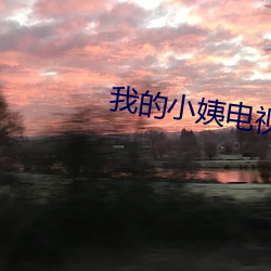 我(wǒ)的小姨电视剧免费观看