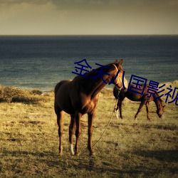 金天(天)八国影视(視)作品(品)