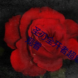 圣刃全开者超级英雄战记樱花动漫在线观看